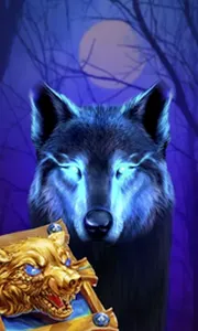 Book Of The Night Wolf